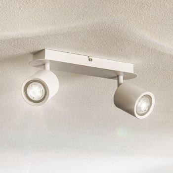 Luminex Modo 2-Bulb Ceiling Spotlight Stainless Steel White