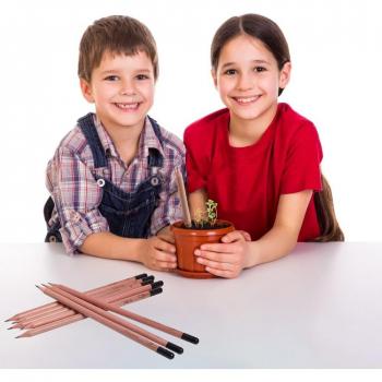 8PCS Seed-Embedded Pencil Set