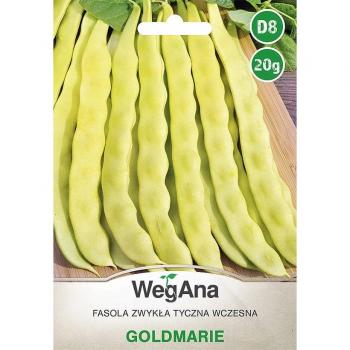 Fagioli Goldmarie 20g semi di fagioli