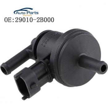Filtro de Purga Cerato 2006 29010-2B000