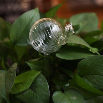 Self-Watering Glass Plant Tools