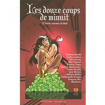 Elisabeth Barillé Les Douze Coups De Minuit : 12 Contes Sensuels De Noël