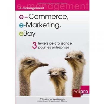 e-Commerce, e-Marketing, eBay : 3 Leviers de croissance pour les entreprises