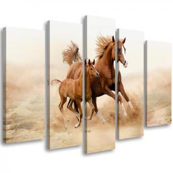 Braunes Pferd im Galopp – Fünfteiliges Wandbild