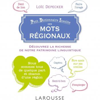 Petit dictionnaire insolite des mots régionaux