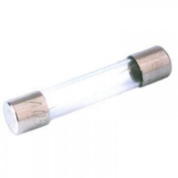 Pack de 100 Fusibles de Cristal 4A Electro Dh