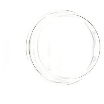 Hublot de verre pour lave-linge Thomson 55X3049