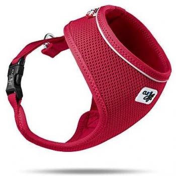 Curli Air-Mesh Harness for Small Dogs