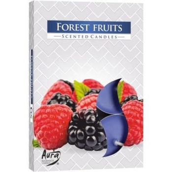 Nature’s Harvest Candle Kit – 6 Tealights