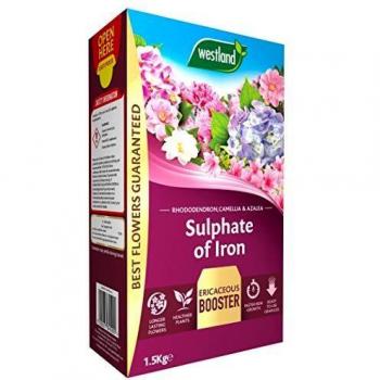 Ericaceous Plant Iron Booster by Westland, 1.5 kg