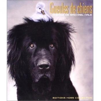 Gueules de chien