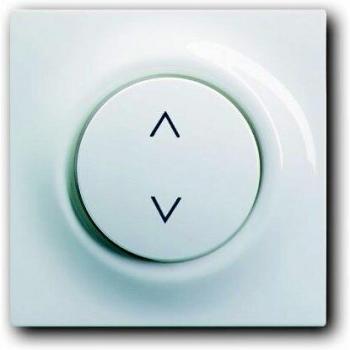 Controllo Busc-Jäger: Pulsante + Interruttore – Bianco