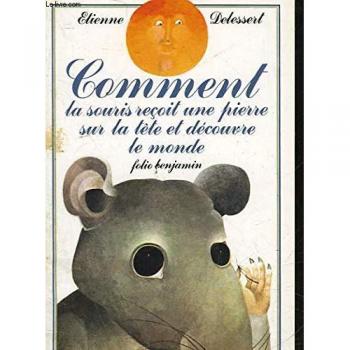 Comment la souris reçoit une pierre sur la tête et découvre le monde