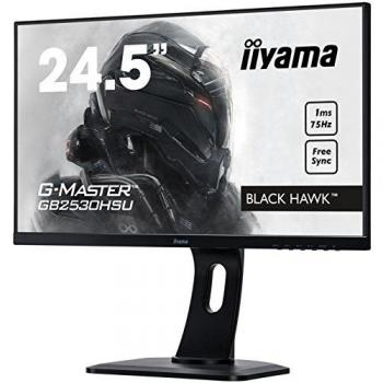 Ecran PC Iiyama G-Master Black Hawk GB2530HSU-B1