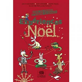 Expériences à Noël