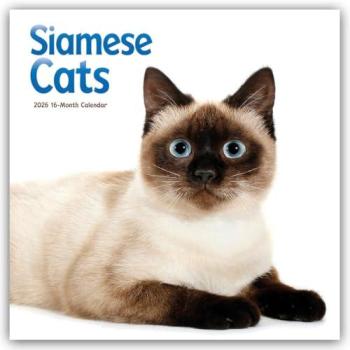 Siamese Cats
