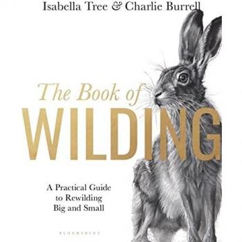 The Book of Wilding: A Practical Guide to Rewilding, Big and Small
