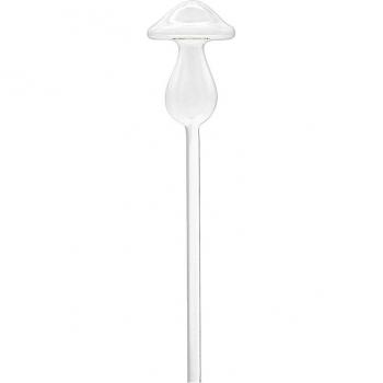 Oiseau d'Eau Jardinier