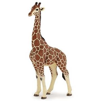 Figurine Girafe Mâle Papo