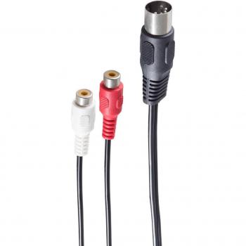 Cavo Audio 0,2 M DIN 5-pin a 2 RCA Shiverpeaks
