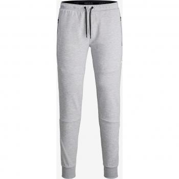 Pantalon de survêtement Slim Fit Gris Clair Jack & Jones