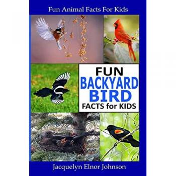 Fun Backyard Bird Facts for Kids