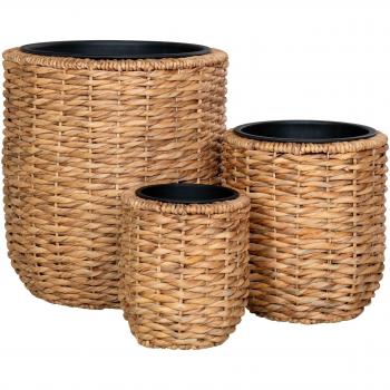 Ensemble de 3 Abris de Plantes Hanoi