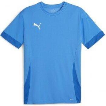 Puma TeamGOAL Matchday Top Heren