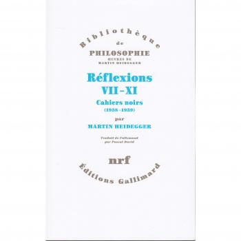 Réflexions VII-XI: Cahiers noirs