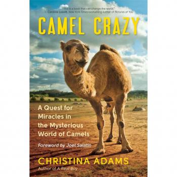 Camel Crazy : A Quest for Healing in the Secret World of Camels