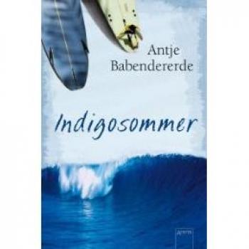 Antje Babendererde Indigosommer