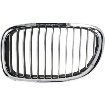 Griglia radiatore Blic 6502-07-0077991P