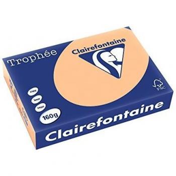 Clairefontaine Trophee A4 160g/qm Kopierpapier 250 Blatt aprikose