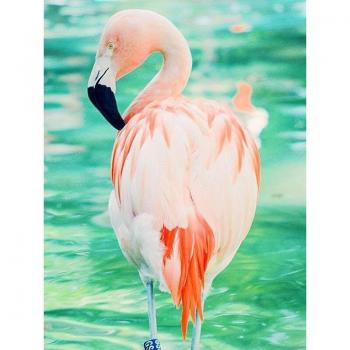 Broderie 5D Flamant Rose