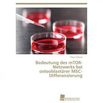 Bedeutung des mTOR-Netzwerks bei osteoblastärer MSC-Differenzierung