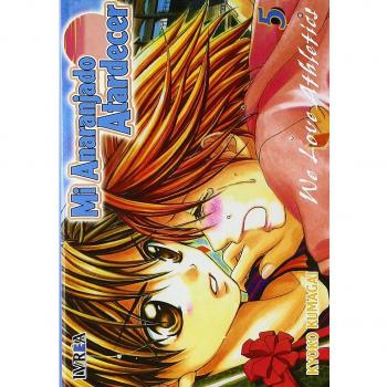 Mi anaranjado atardecer nº5.