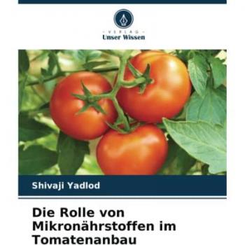 Yadlod, Shivaji: Die Rolle von Mikronährstoffen im Tomatenanbau