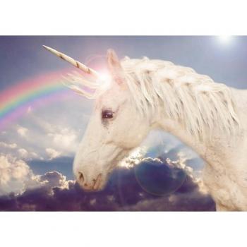 Papermoon Einhorn Fototapete »Regenbogen«