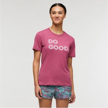 Cotopaxi Do Good Organic Damen T-Shirt fuchsia