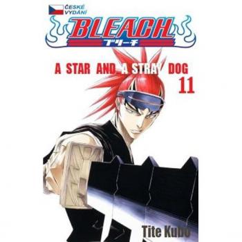 Bleach 11