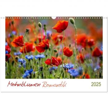 Mohnblumen Romantik (Wandkalender 2025 DIN A3 quer) CALVENDO Monatskalender
