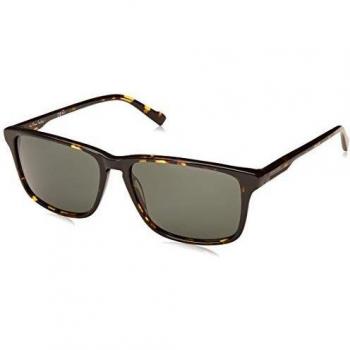 Pierre Cardin Men's P.C. 6209/S Sunglasses, Multicolour