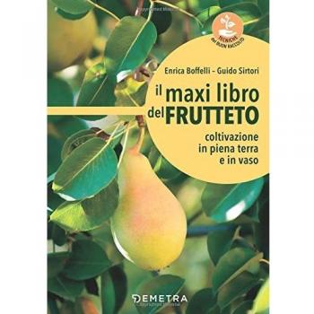 Il maxi libro del frutteto. Coltivazione in piena terra e in vaso