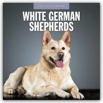 White German Shepherds