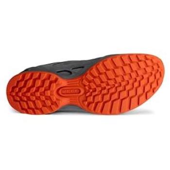 Outdoorschuhe Ecco Biom Energi