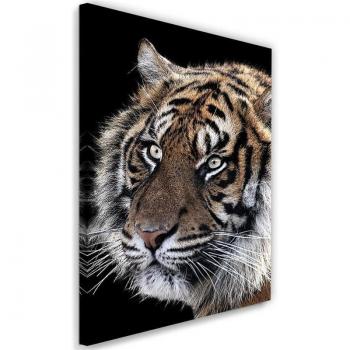 Tableau Animaux Sauvages Tigre 40x60