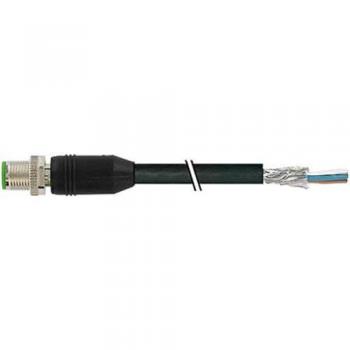 Murr Elektronik M12 Stecker Kabel 5m geschirmt PVC UL/CSA