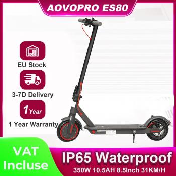 FlexiScoot 350W Folding Electric Scooter