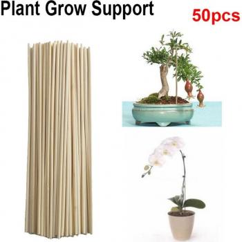 Bâtons élévateurs pour plantes 50pcs