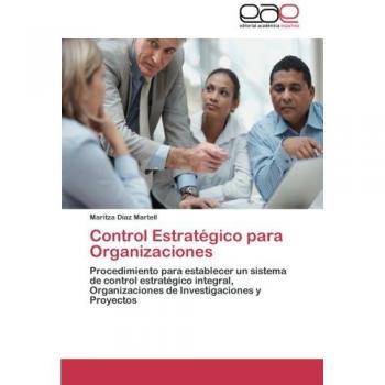 Control Estratégico para Organizaciones: Procedimiento para establecer un sistema de control estratégico integral, Organizaciones de Investigaciones y Proyectos